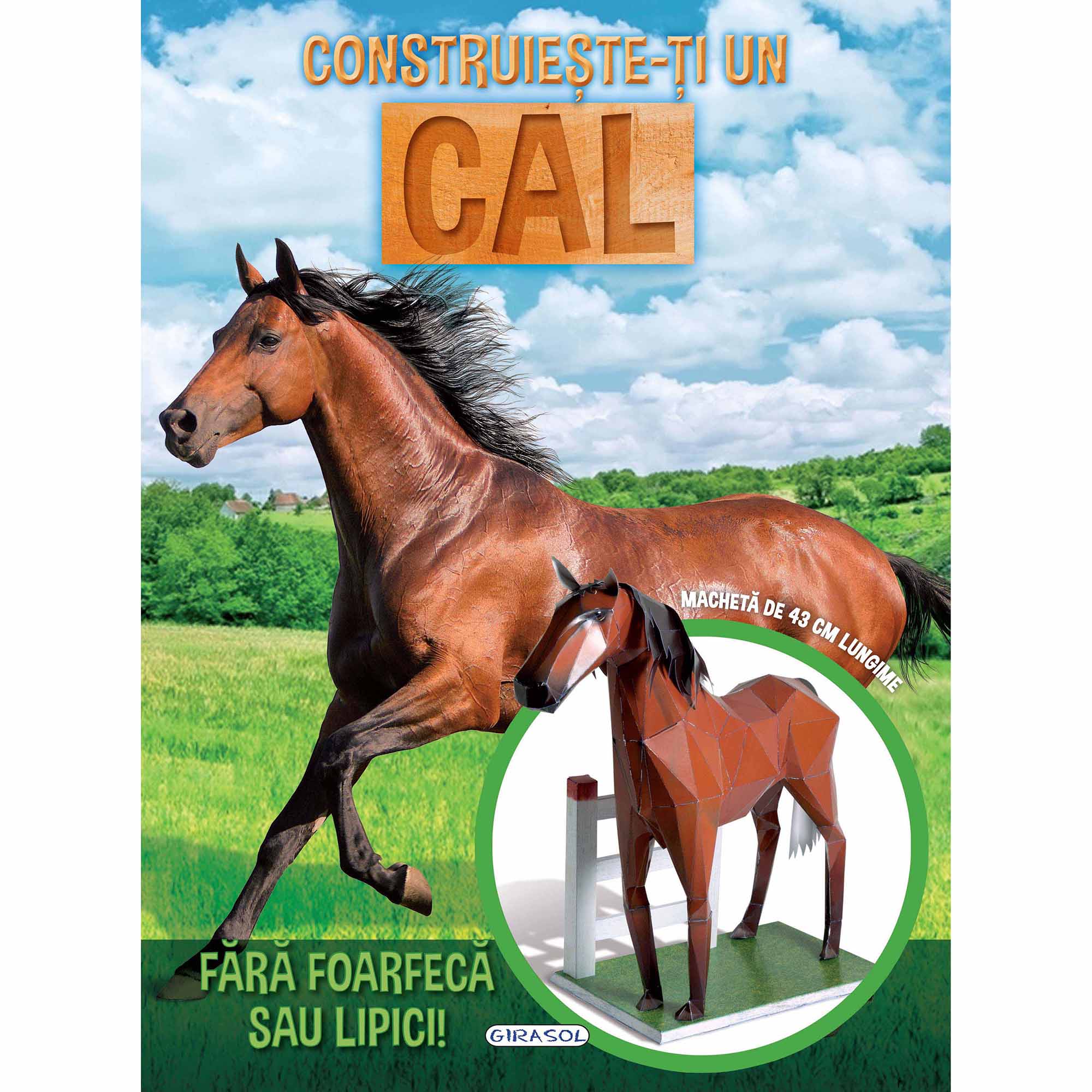 Construieste-ti un cal