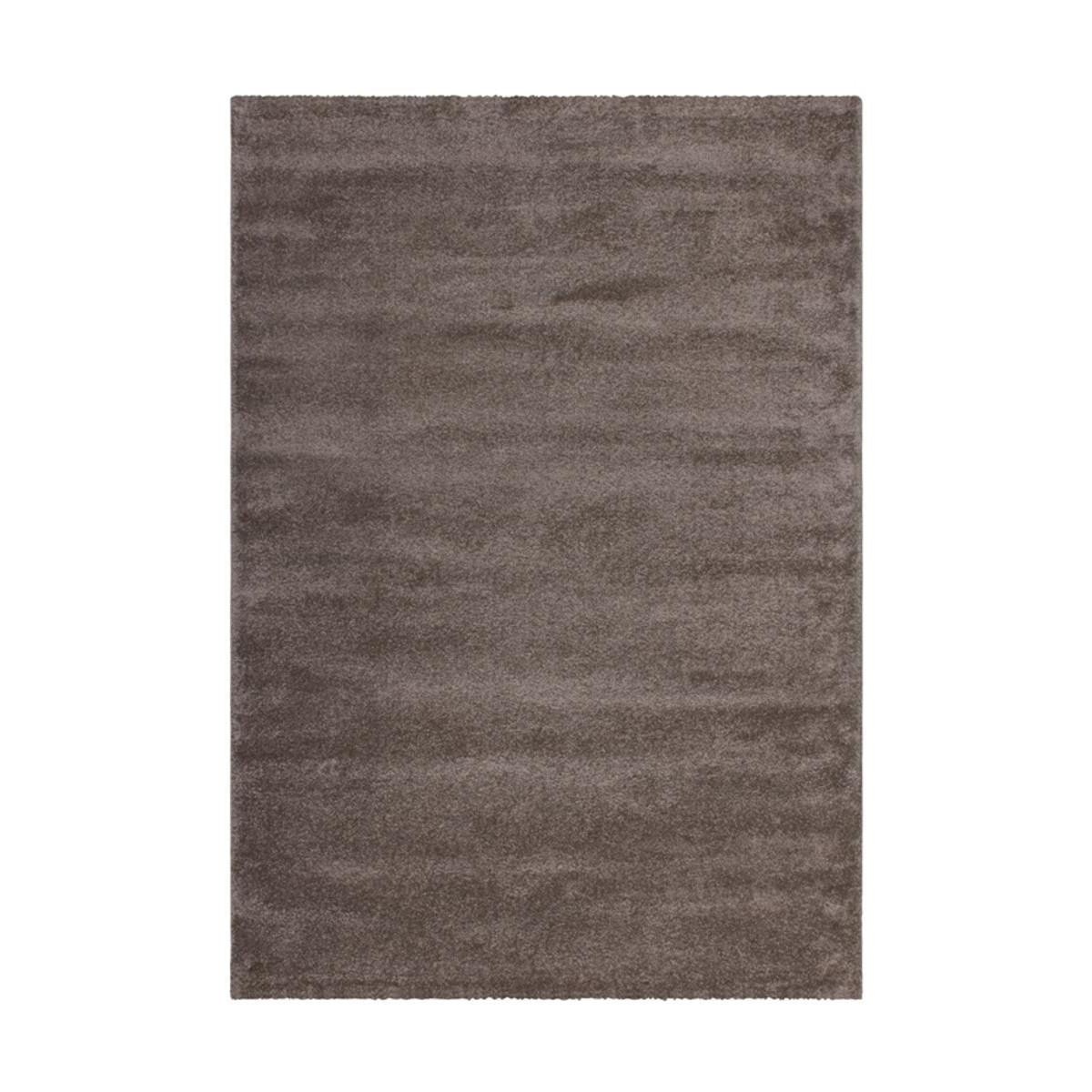 Covor Decorino C-016005 Polipropilena Fir Lung 120x170 cm