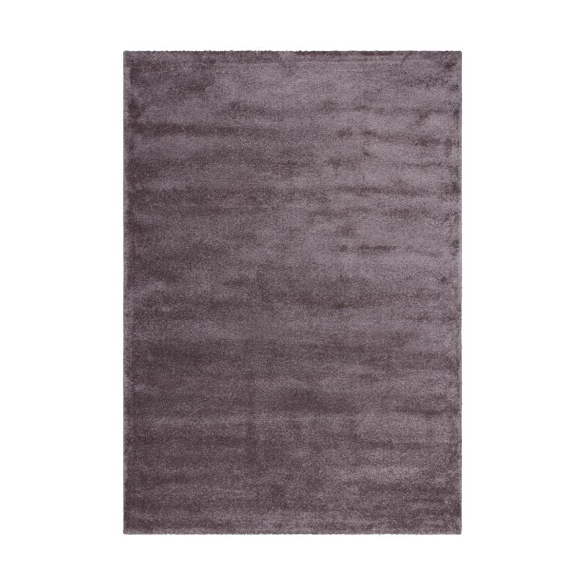 Covor Decorino C-016008 Polipropilena Fir Lung 160x230 cm