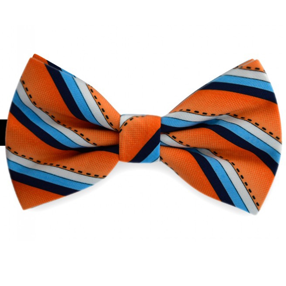 Papion multicolor, model dungi oblice, butterfly