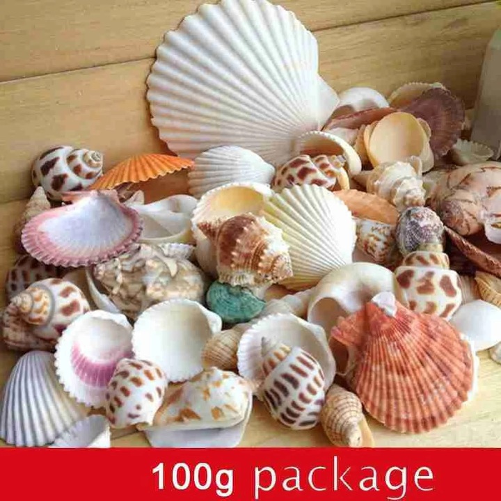 Scoici naturale amestecate YANYXR, multicolor, 100g
