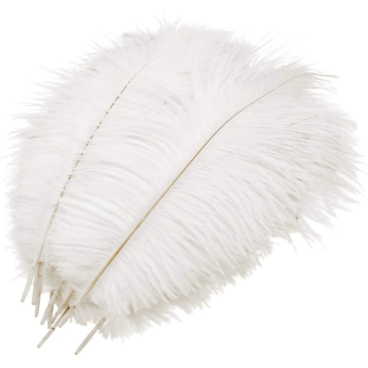 Set 10 pene strut albe 25x30cm decor petrecere