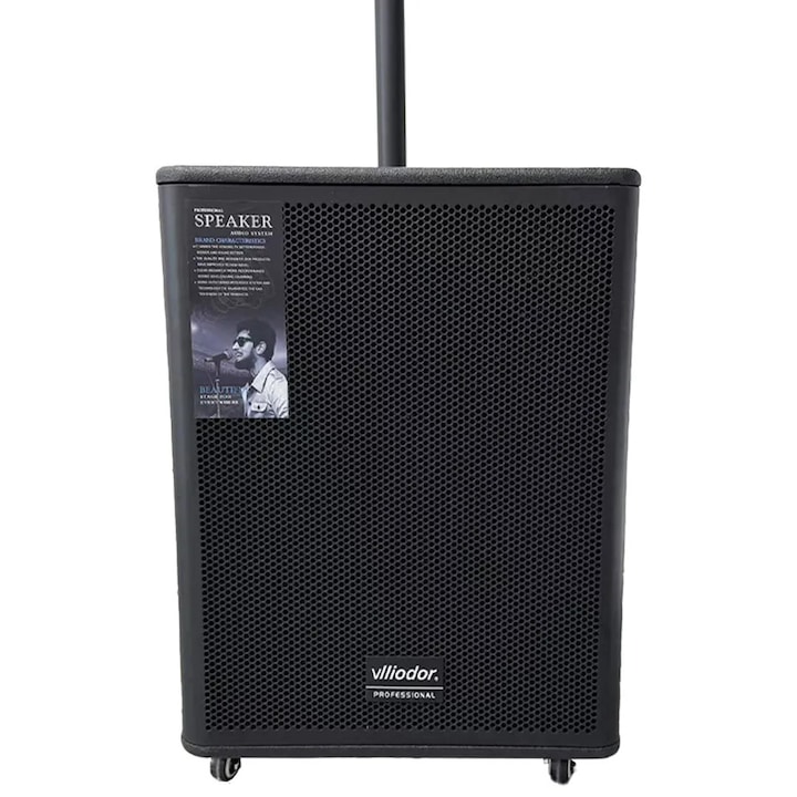 Sistem Audio Profesional Vlliodor – Boxe Active cu Subwoofer, 3800W, DSP, 2 Microfoane Wireless
