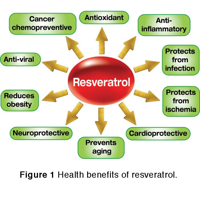Resveratrol, 250mg, 60 capsule, antioxidant natural puternic eMAG.ro