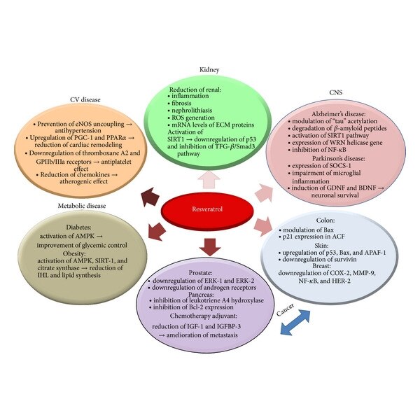 Resveratrol, 250mg, 60 capsule, antioxidant natural puternic eMAG.ro