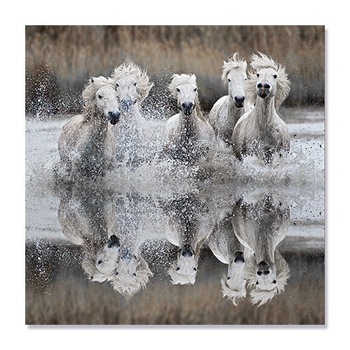 Tablou Canvas - Cai Camargue, Animale, Toamna, Reflectie 100 x 100 cm Tablou Canvas - Cai Camargue, Animale, Toamna, Reflectie 100 x 100 cm