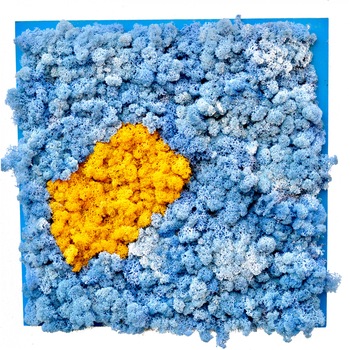 Tablou viu din licheni  Tablou viu din licheni