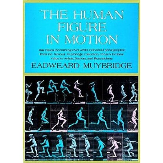 The Human Figure in Motion, Eadweard Muybridge