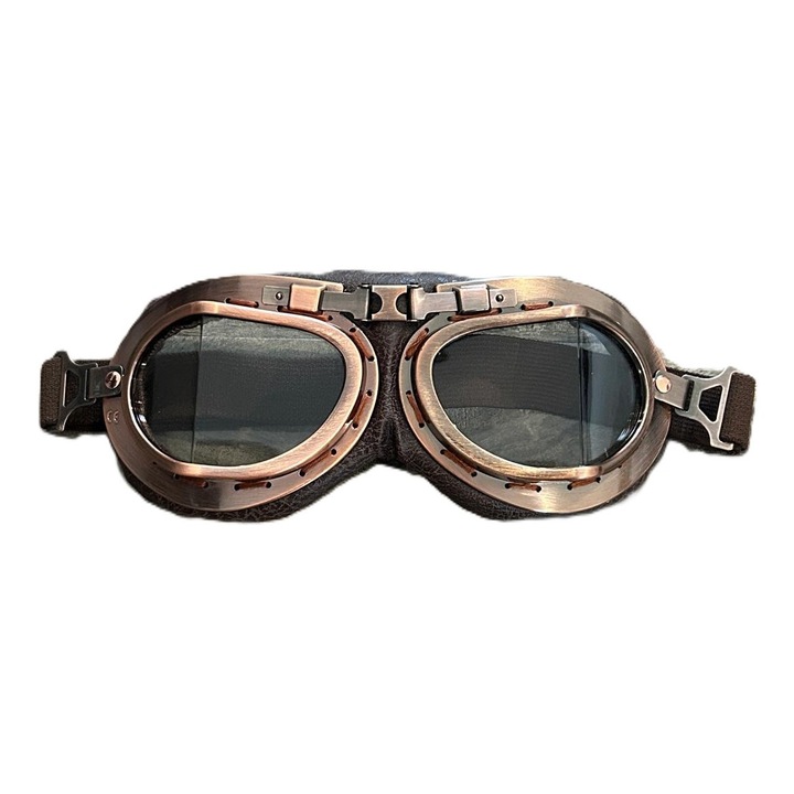 Ochelari moto/ski RETRO rama maro lentila clara