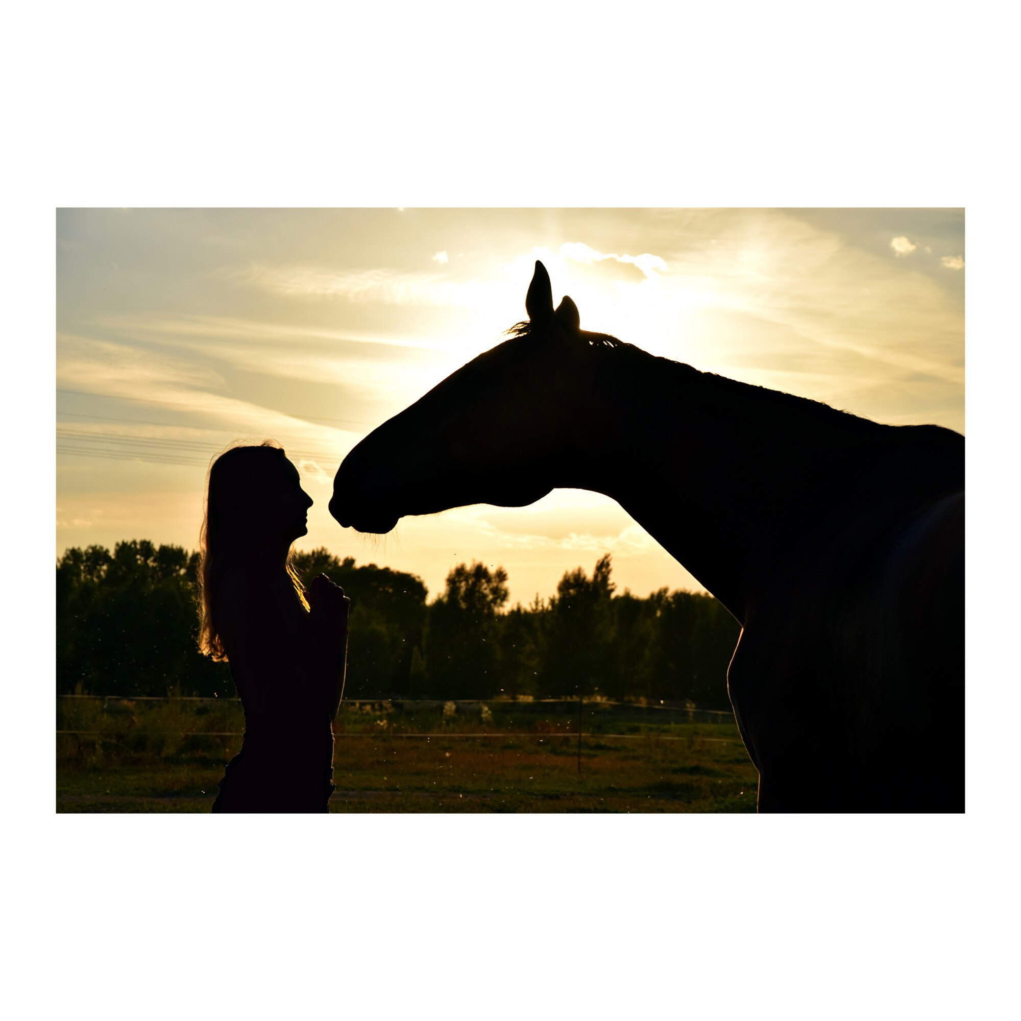 Tablou Canvas Artantida - Silhouette Horse 80x60 cm