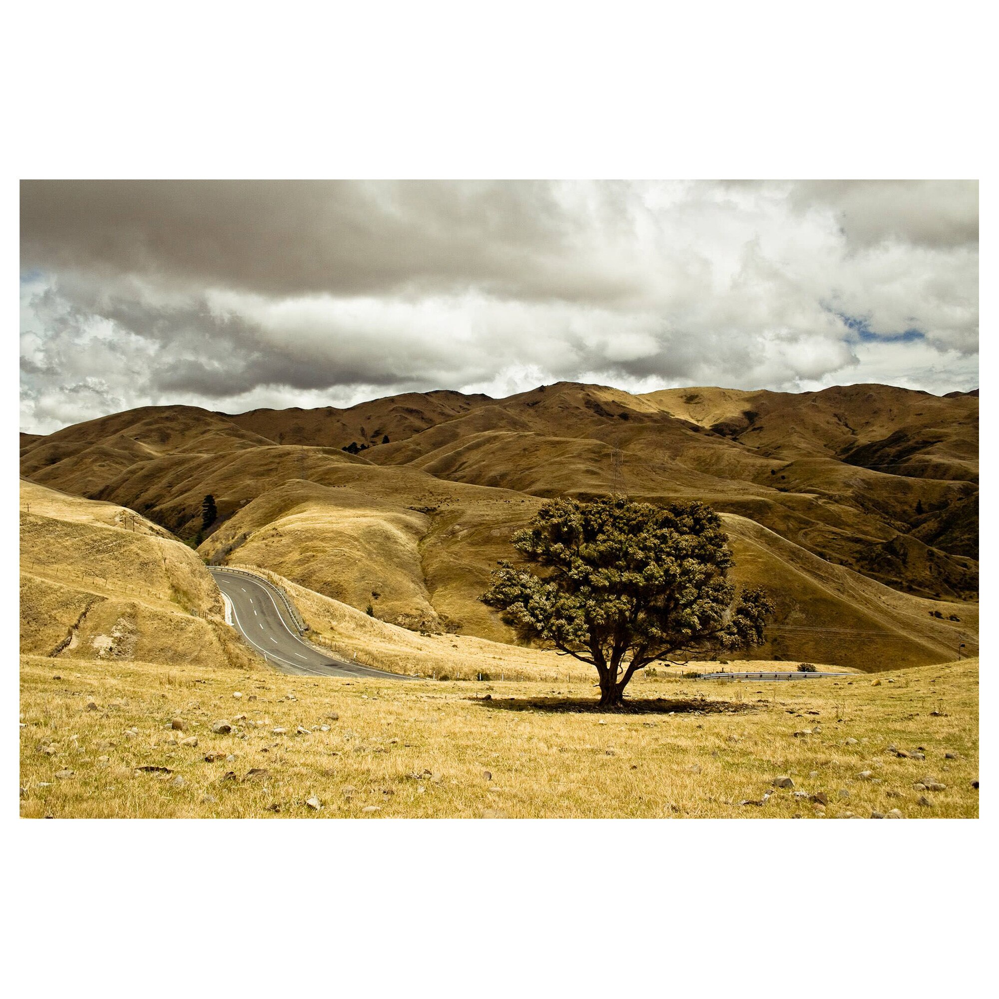 Tablou Canvas Artantida - One Tree 80x60 cm