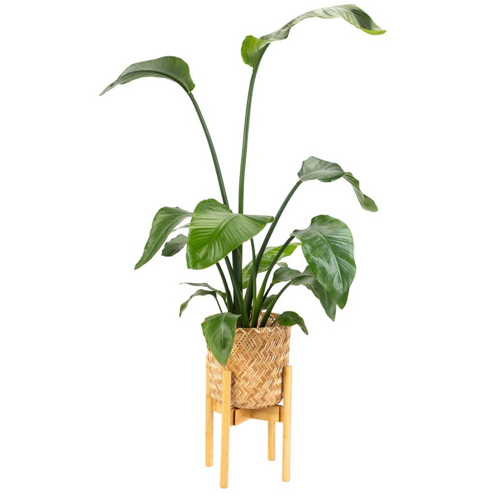 Универсална стойка за цветя NEST - Регулируема стойка за цветя от бамбук