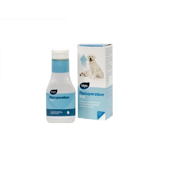 Supliment nutritiv Viyo Recuperation dog - 1 flacon 150 ml Supliment nutritiv Viyo Recuperation dog - 1 flacon 150 ml