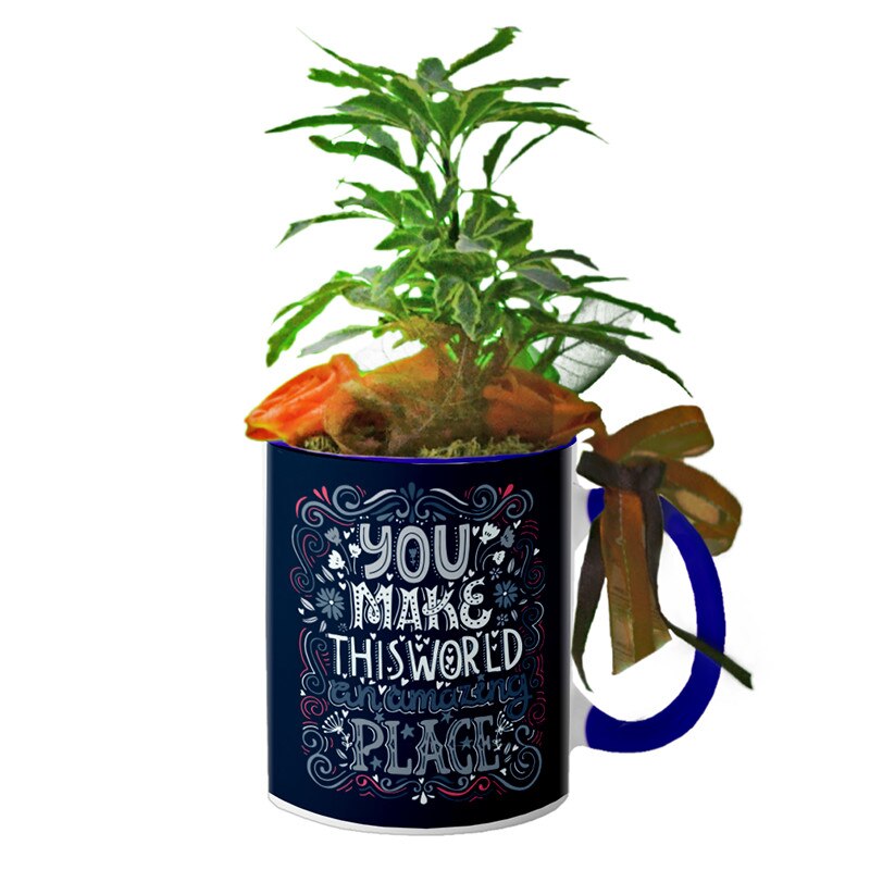 Cana interior Navy blue 