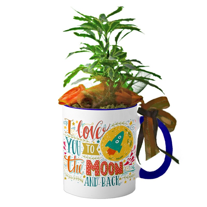 Cana interior Navy blue 