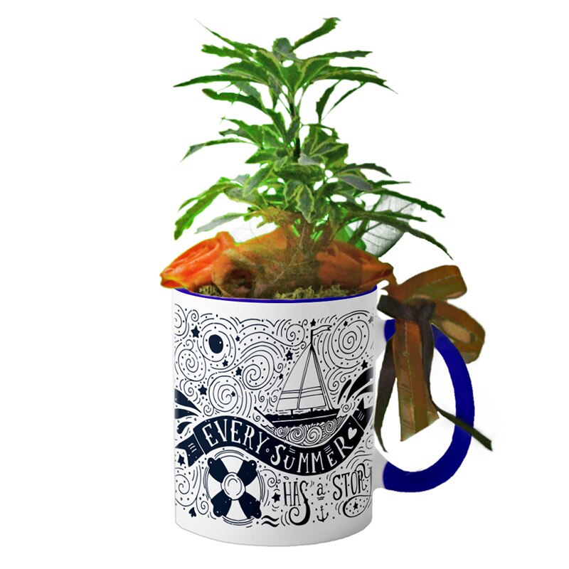 Cana interior Navy blue 