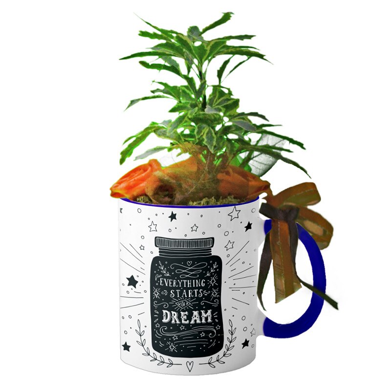 Cana interior Navy blue 