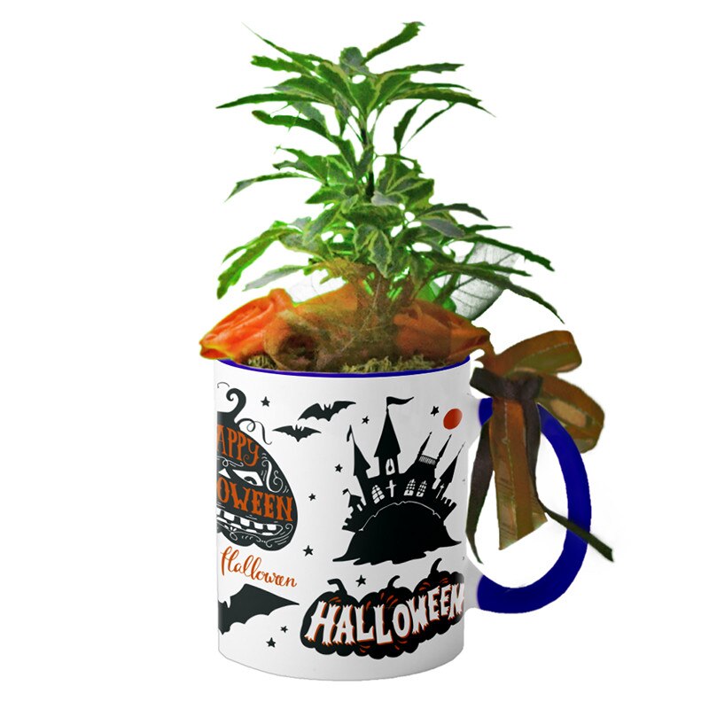 Cana interior Navy blue 