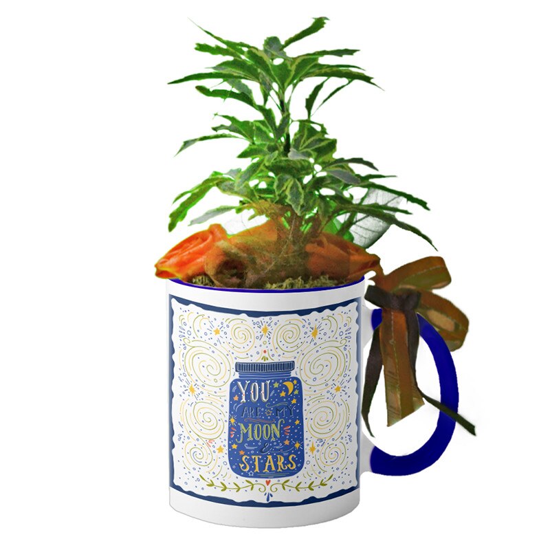 Cana interior Navy blue 