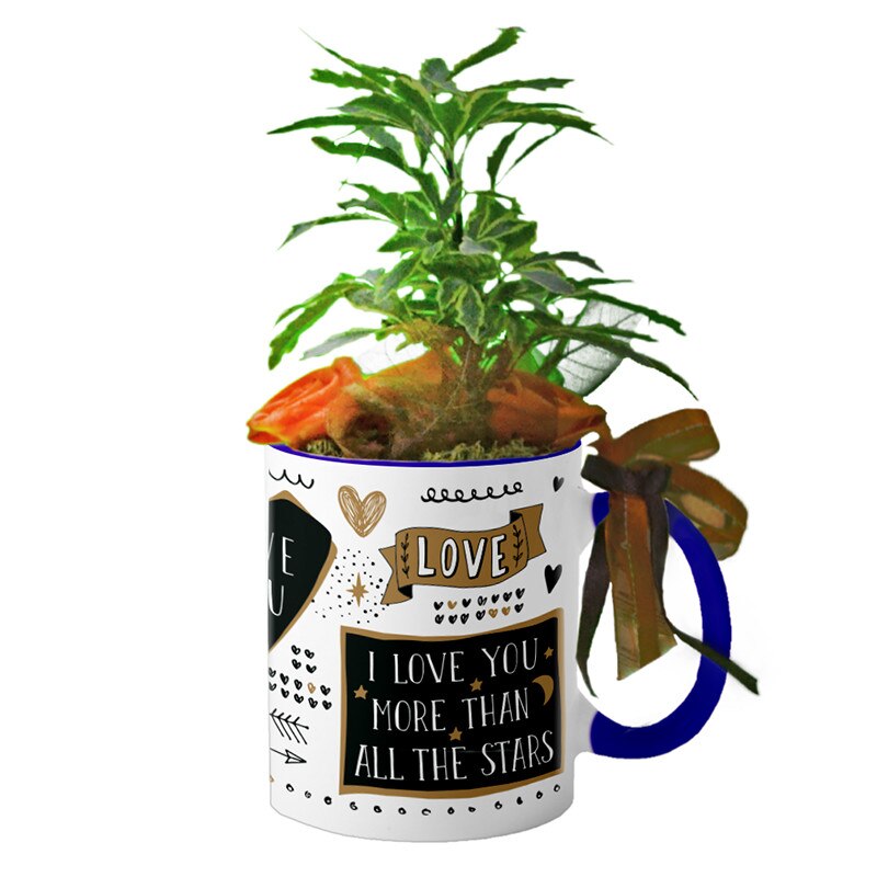 Cana interior Navy blue 