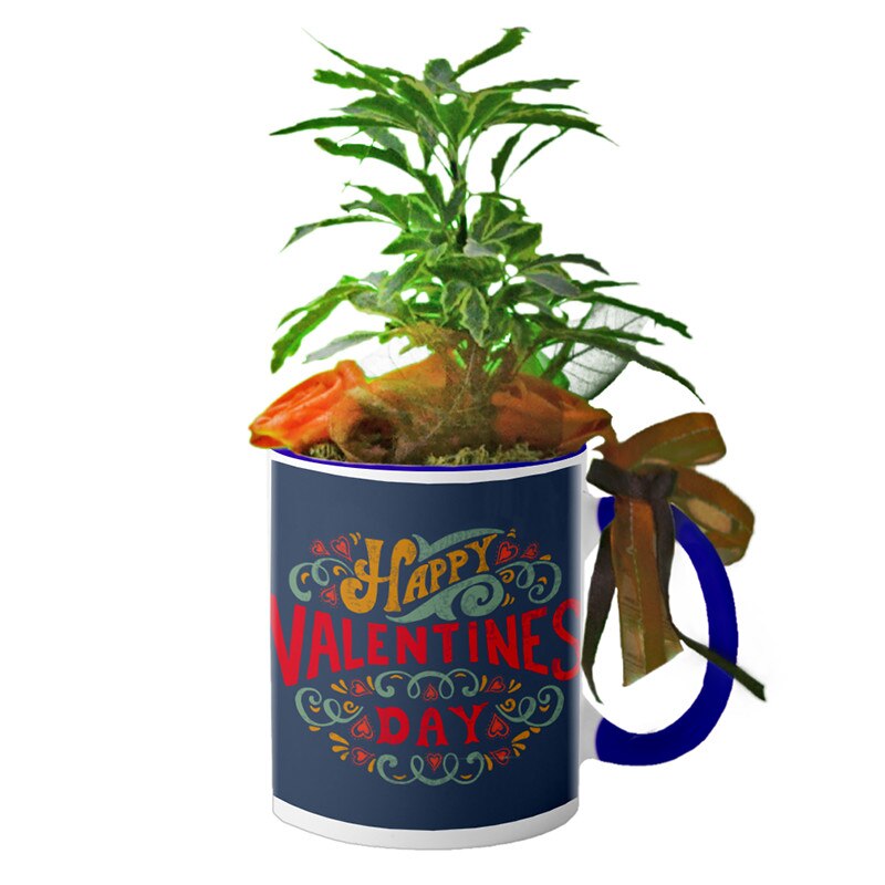 Cana interior Navy blue 