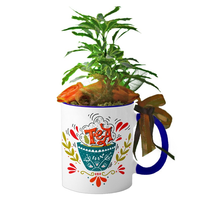 Cana interior Navy blue 