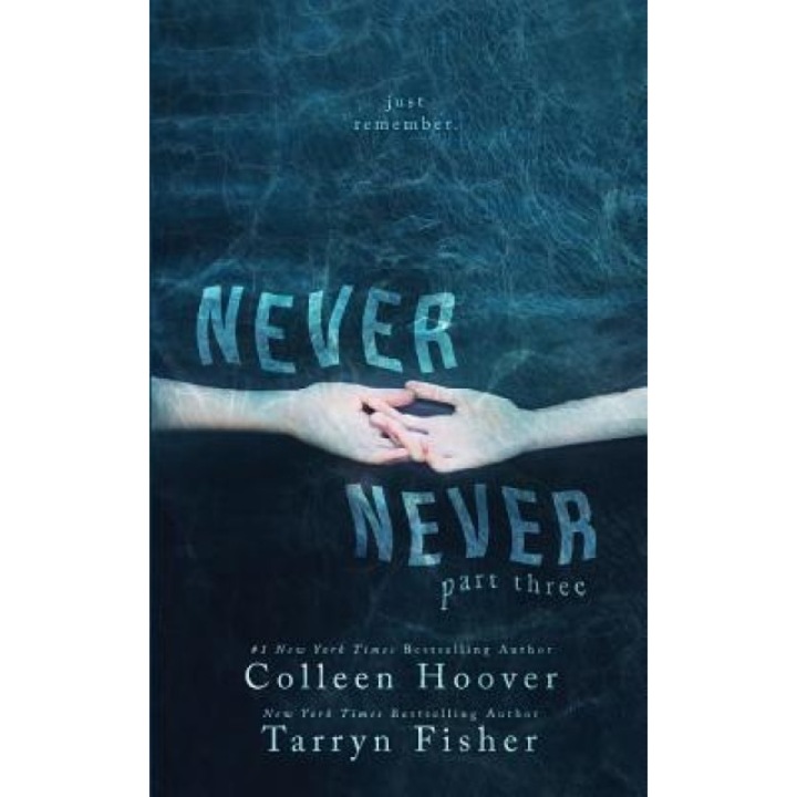 Never Never: Part Three of Three, Colleen Hoover (Author)
