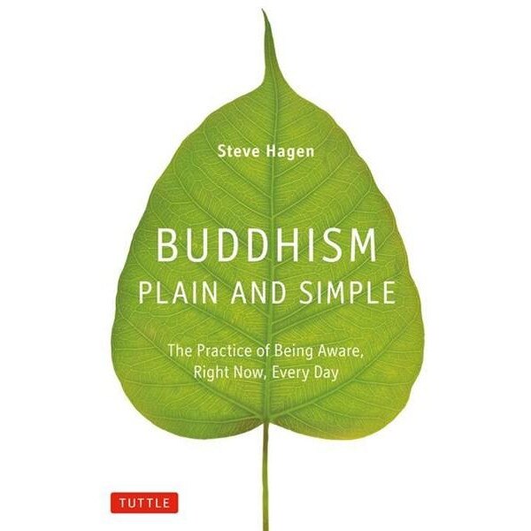 Buddhism Plain & Simple - Steve Hagen