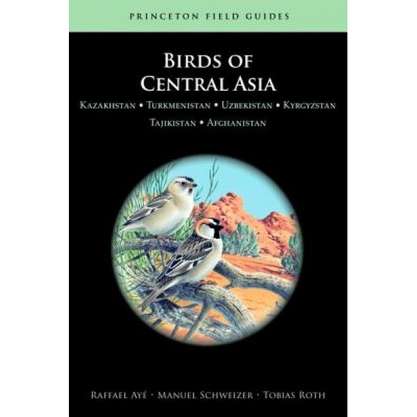 Birds of Central Asia: Kazakhstan, Turkmenistan, Uzbekistan, Kyrgyzstan, Tajikistan, Afghanistan, Raffael Aye (Author)