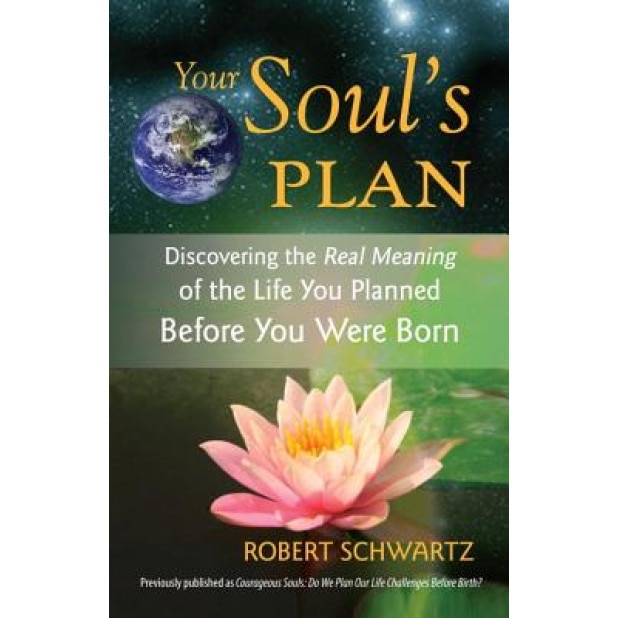 Your Soul's Plan: Discovering the Real Meaning of the Life You Planned Before You Were Born - Robert Schwartz