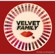 Ruj lichid cu finisaj mat si catifelat, Bourjois Rouge Edition Velvet, 36 in mauve, 28 g