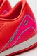Nike, Pantofi pentru fotbal Zoom Vapor 16, Rosu inchis/Albastru glaciar/Alb murdar