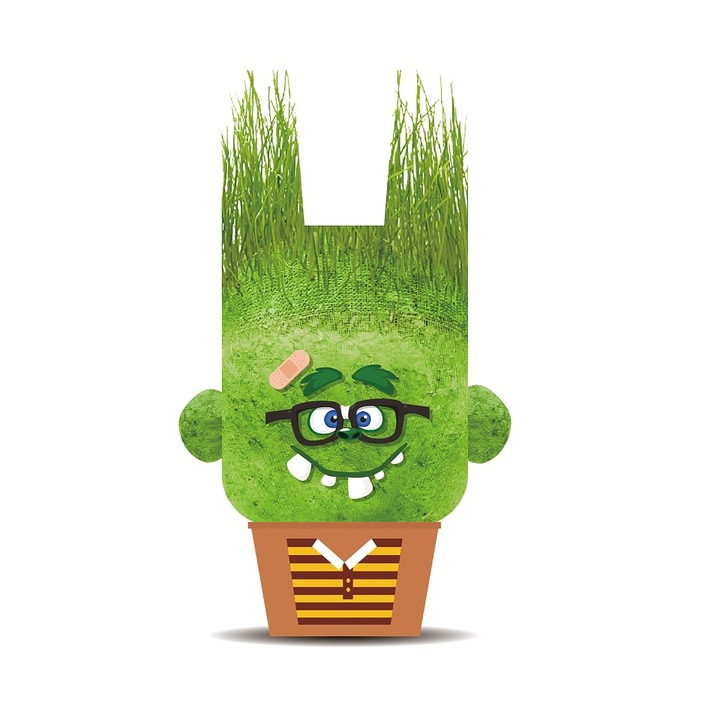 Papusa cap de iarba - Charles cel Vesel