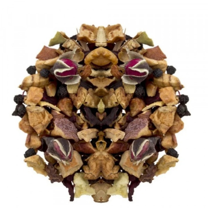 Ceai de Fructe cu Kiwi, Citrice si Trandafir, Zen Garden 100g - 5 O'Clock Tea