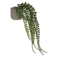 Ghiveci Decorativ din Plastic Taupe cu Planta Artificiala Curgatoare Ø8x40cm