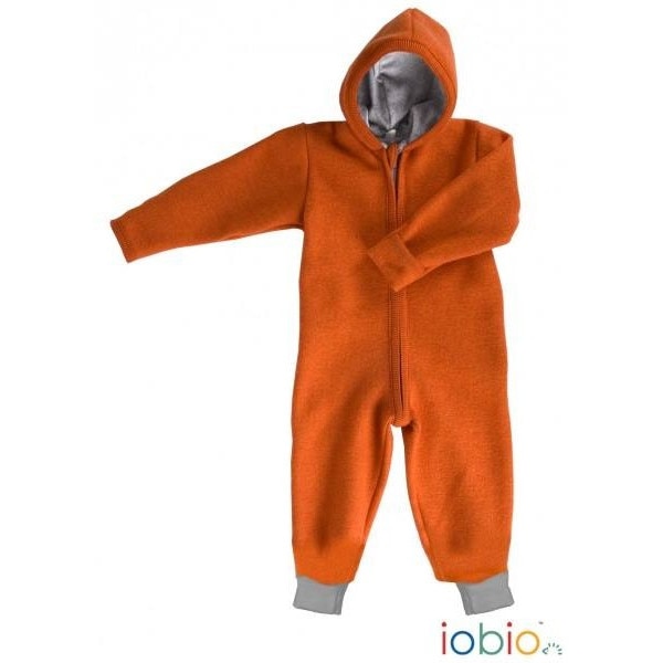 overall iobio