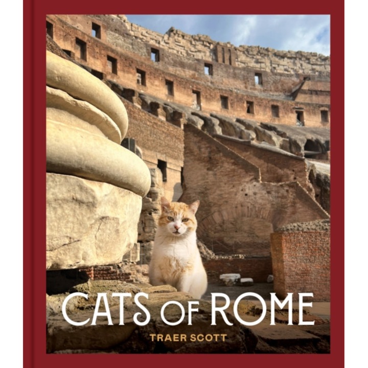 Cats Of Rome - Traer Scott