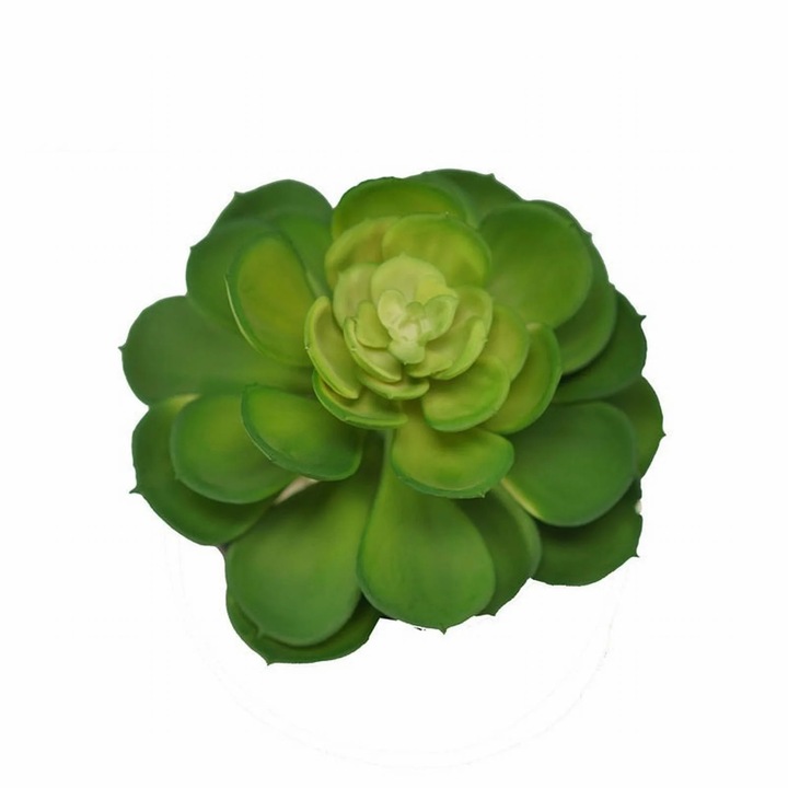 Plante artificiale suculente, decorativ, verde, 19.9x2.88cm