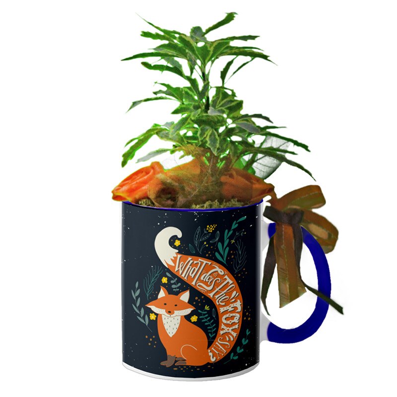 Cana interior Navy blue 