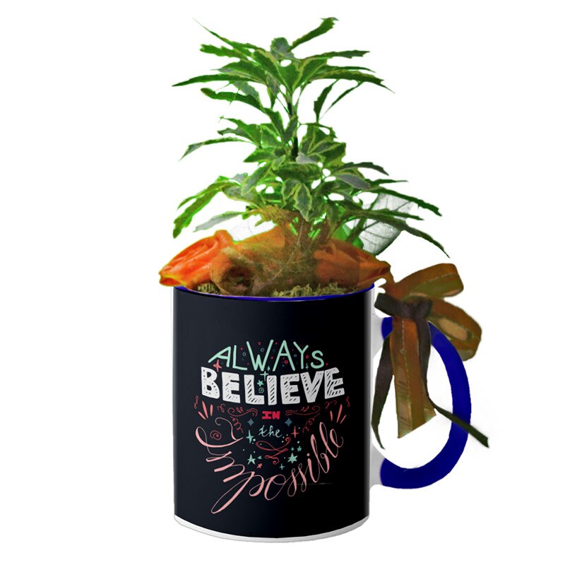 Cana interior Navy blue 