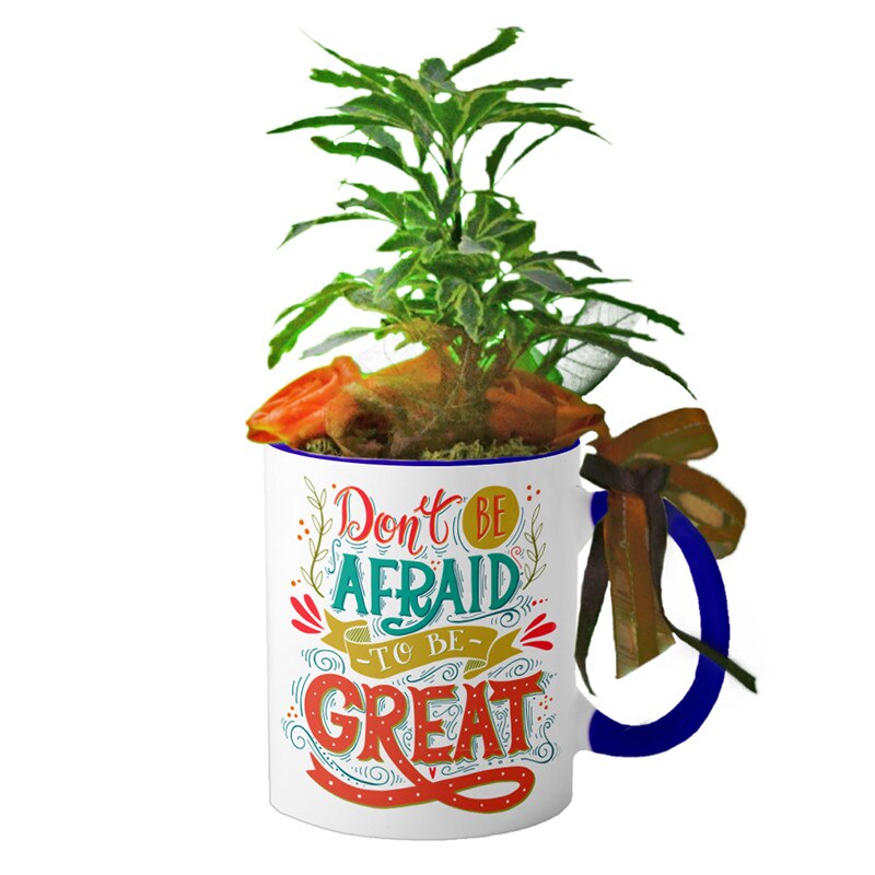 Cana interior Navy blue 