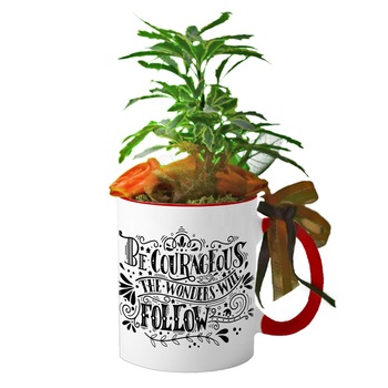 Cana interior rosu  Cana interior rosu