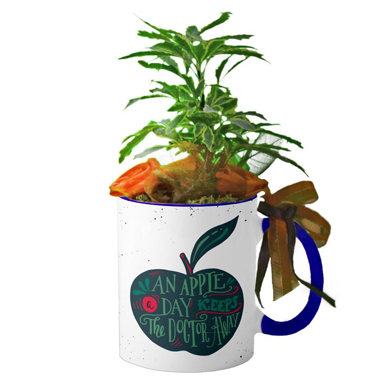 Cana interior Navy blue 