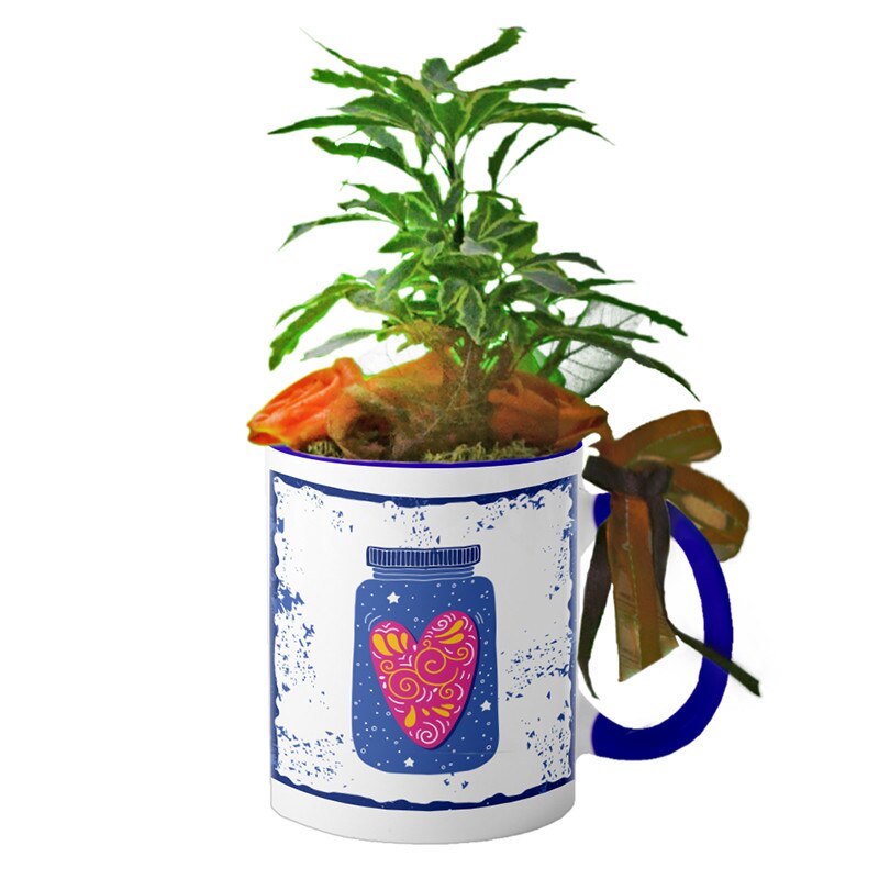 Cana interior Navy blue 