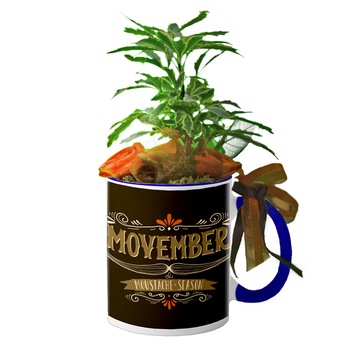 Cana interior Navy blue  Cana interior Navy blue