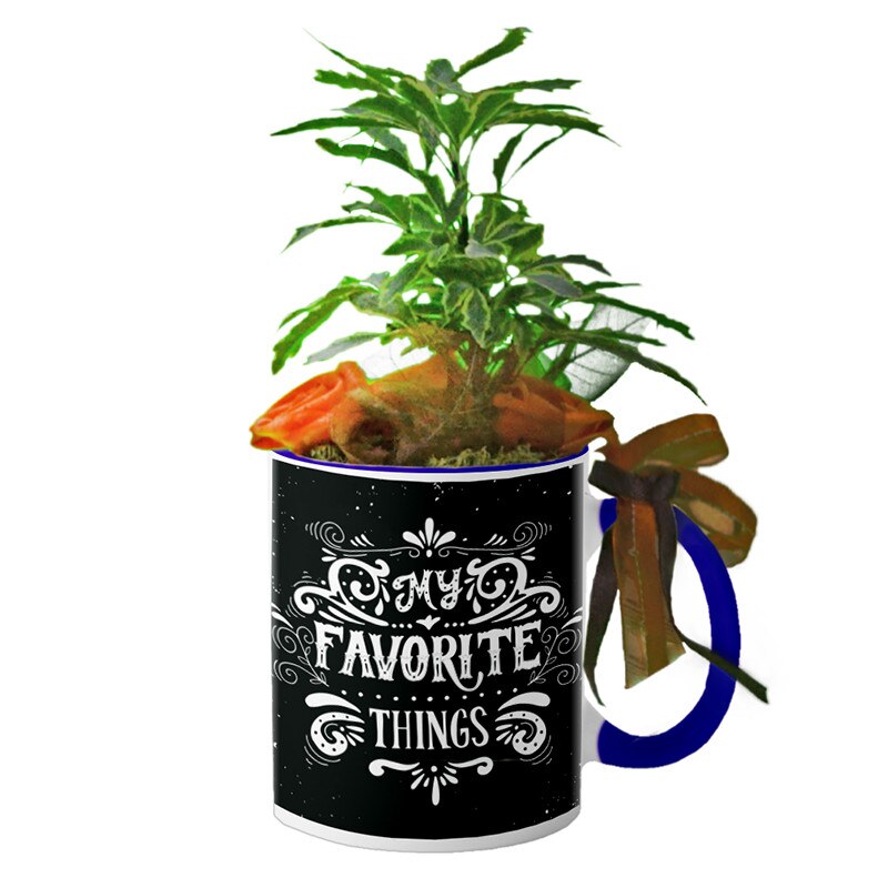 Cana interior Navy blue 