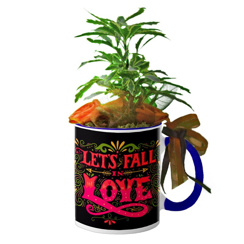 Cana interior Navy blue 