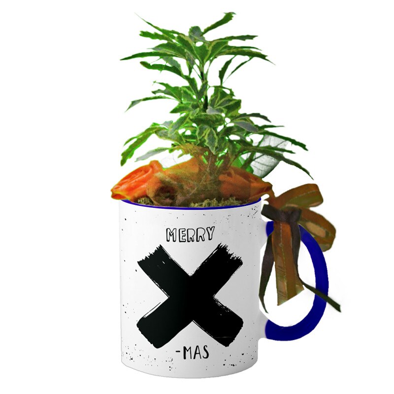 Cana interior Navy blue 