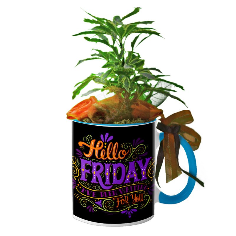 Cana interior Albastru deschis 