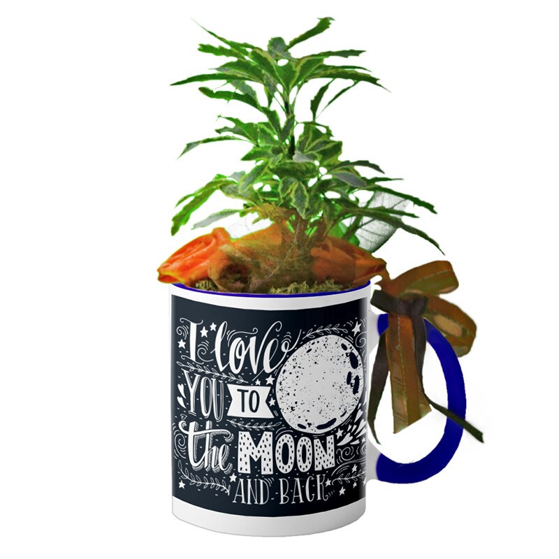 Cana interior Navy blue 